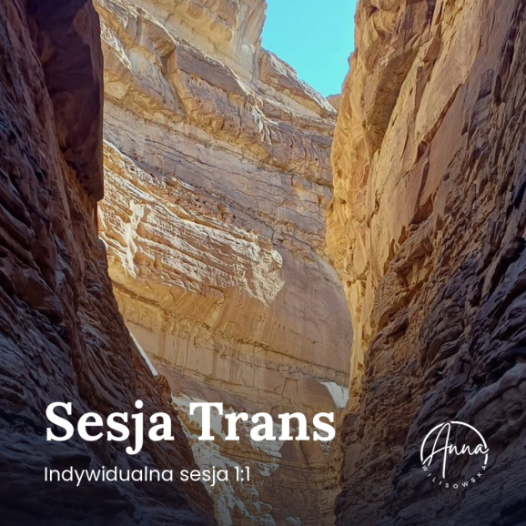 Sesja indywidualna 2h